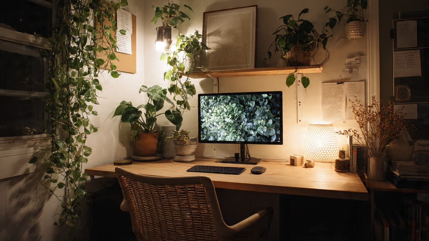Close-up of desk plant and natural wood accessories