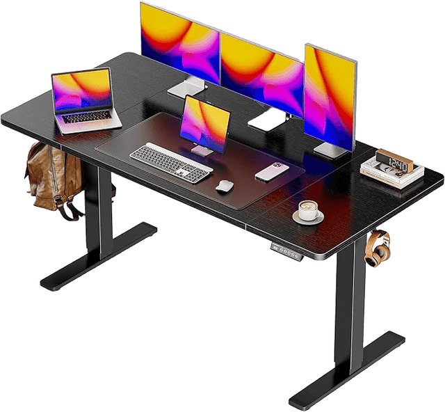 55 x 28 Large Electric Standing Desk